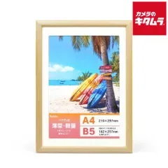 【新品】ケンコー パラディ2 A4 ナチュラル 《納期約2週間》