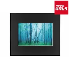 【新品】ケンコー A3NT-BK ギャラリー A3ノートリミング ブラック 《納期約2週間》