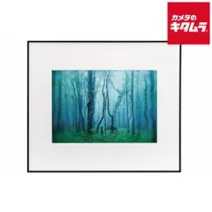 【新品】ケンコー A3-BW ギャラリー A3 ブラック/ホワイト 《納期約2週間》