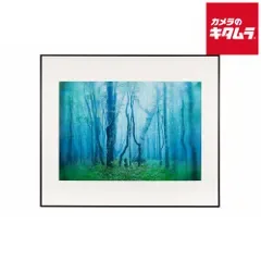 【新品】ケンコー A2-BW ギャラリー A2 ブラック/ホワイト 《納期約2週間》