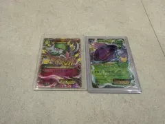 ポケットモンスター 30 記念日 カード ガディアン/ゲノセクト 再版 セット