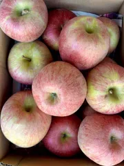 大サイズ ふじりんご 5kg箱込み🍎 美味しい