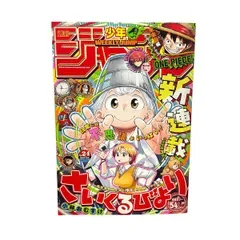 【週刊少年ジャンプ 2024年24号 さいくるびより 新連載第1話 表紙&巻頭カラー54P ONE PIECE カグラバチ】