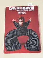 デヴィッドボウイ トリビュートバンド BOYS FROM MARS スペイン バレンシア公演/davidbowie001