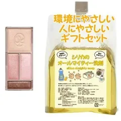 NOEVIR ノエビア スペチアーレ アイカラー リフィール チップ&ブラシ付 環境にやさしい、人にやさしいギフトセット