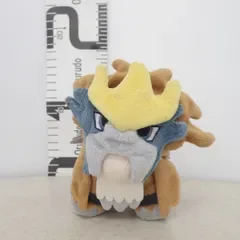 ポケモンセンター 色違いエンテイドール 紙タグ無 ポケットモンスター
