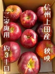 (予約)(ご家庭用)信州上田産 秋映 りんご 約3kg