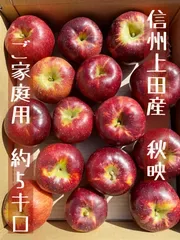 (予約)(ご家庭用)信州上田産 秋映 りんご 約5kg