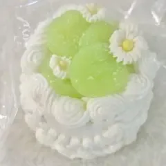 【即日発送】kikisquishy マスカットホールケーキ XL 海外スクイーズ