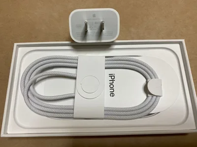 Apple純正 充電器 充電ケーブル 編み込み式 タイプC to C