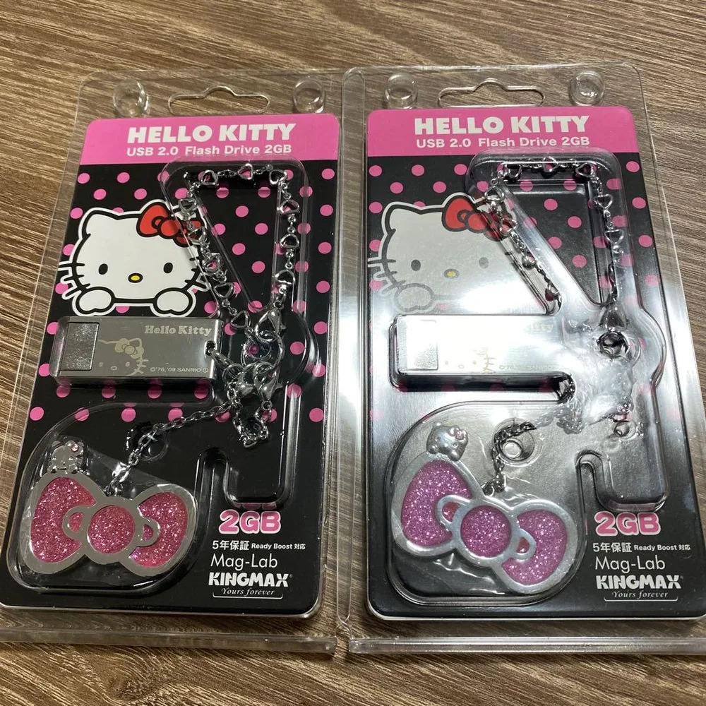 USBメモリー 2GB ハローキティ 2個