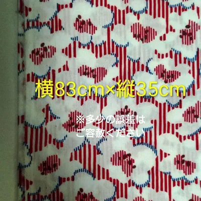 【匿名配送】リバティ デッキチェアデイズ タナローン 生地