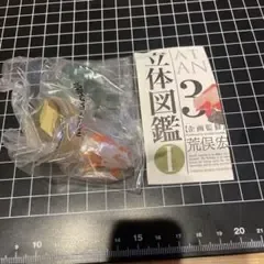 海洋堂 荒俣宏 世界博物画立体図鑑1 金魚 フィギュア