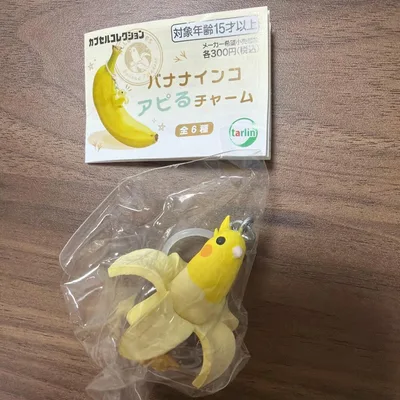 バナナインコ アピるチャーム ホワイトオカメバナナインコ
