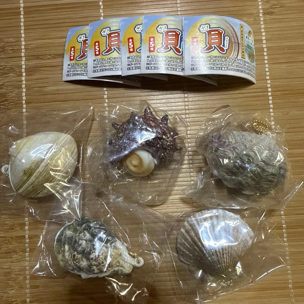 ざ!貝 マスコット 全5種セット