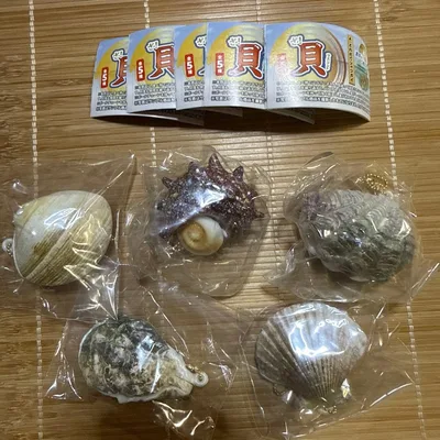 ざ!貝 マスコット 全5種セット