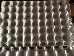 紙製玉子パック 100枚+数枚