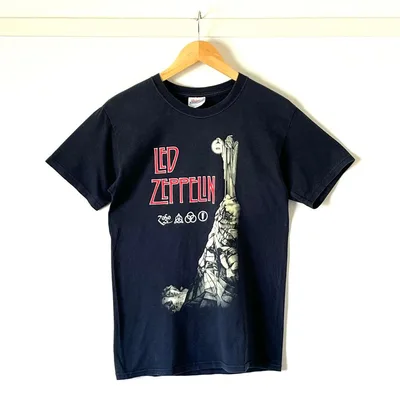 【良品】ヘインズ 00s LED ZEPPELIN バンドTシャツ S 黒 隠者