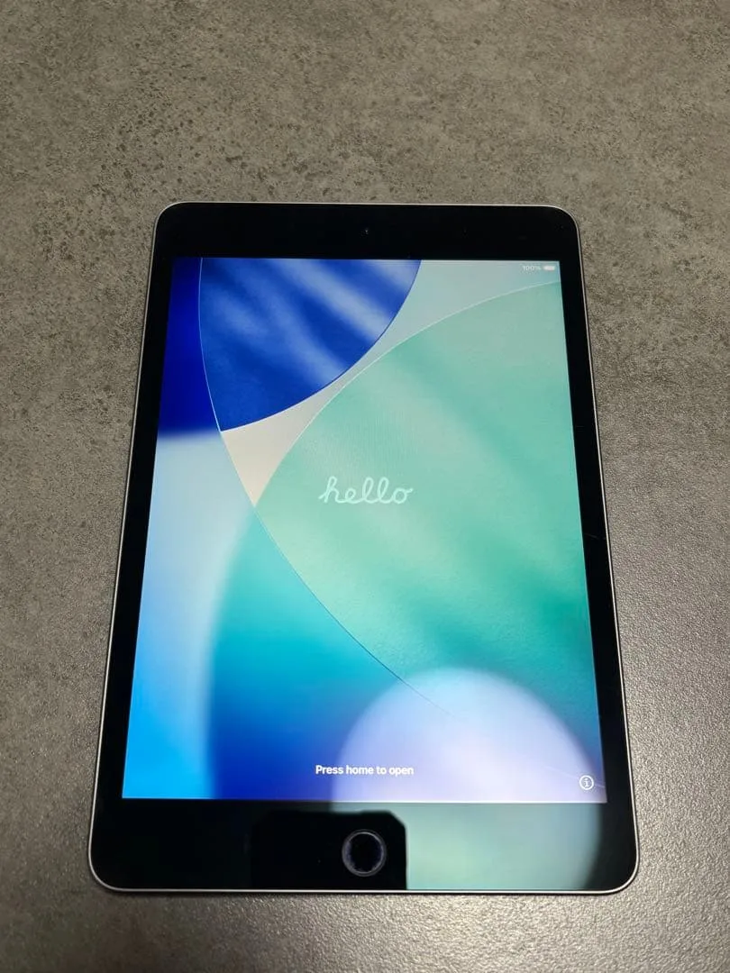 Apple iPad mini5 Wi-Fi 256GB スペースグレイ 箱付