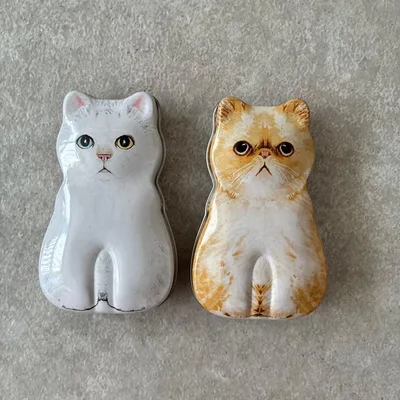 カルディ 猫型 ミニ缶 2個セット 白猫 茶白猫 小物入れ