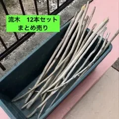 流木 まとめ12本売り ハンドメイド