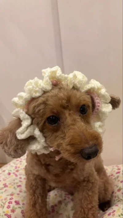 ハンドメイド ペット用 ヘッドドレス 犬