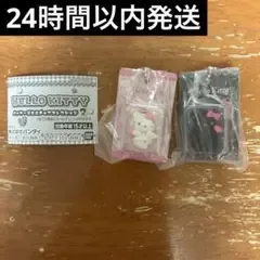 【早い者勝ち❗️】ハローキティ パッケージミニチュアコレクション2 2点セット①