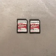 Kingston CANVAS React Plus 256GB 2枚 SD