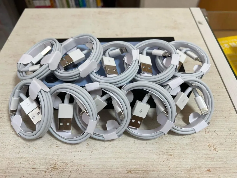 iPhone 充電ケーブル ライトニングケーブル 10本 新品