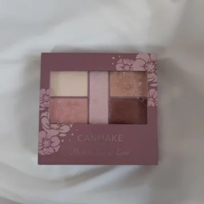 CANMAKE パーフェクトスタイリストアイズ 05
