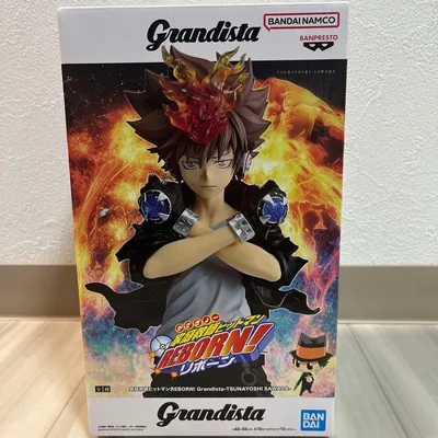 家庭教師ヒットマンREBORN! 沢田綱吉 Grandista
