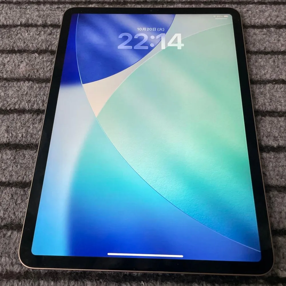 43 iPad Pro 11 1世代 256GB Wi-Fi スペースグレイ