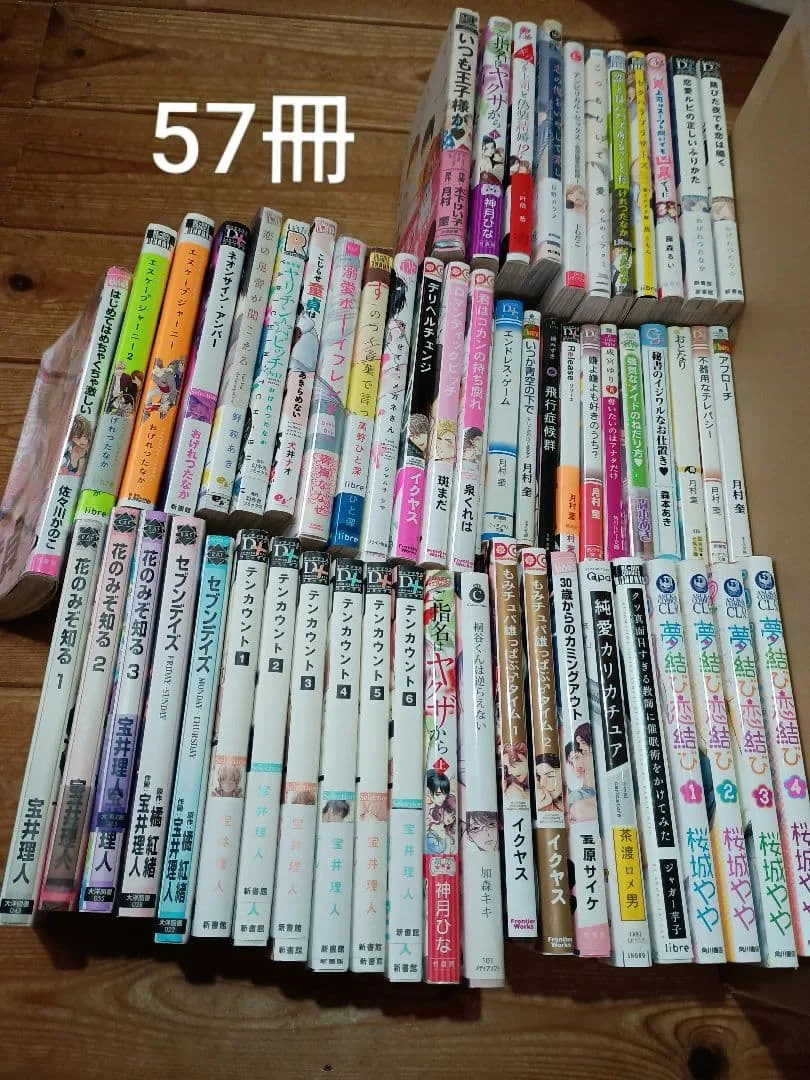 BL漫画 小説 TL 漫画 セット 57冊 まとめ売り
