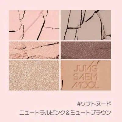 JUNGSAEMMOOL アーティストアイパレット ソフトヌード ジョンセンムル