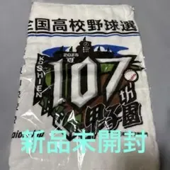 第107回全国高校野球選手権記念大会 フェイスタオル