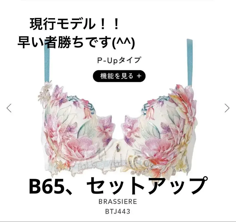 Salute ブラジャー ショーツ セット BTJ443 PTJ443