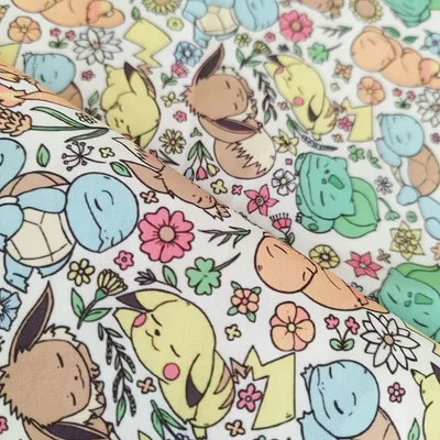 《50×70》ポケモン Pokemon おひるね はぎれ 布 生地