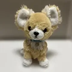 PUPS パプス Sunlemon チワワ ぬいぐるみ サンレモン