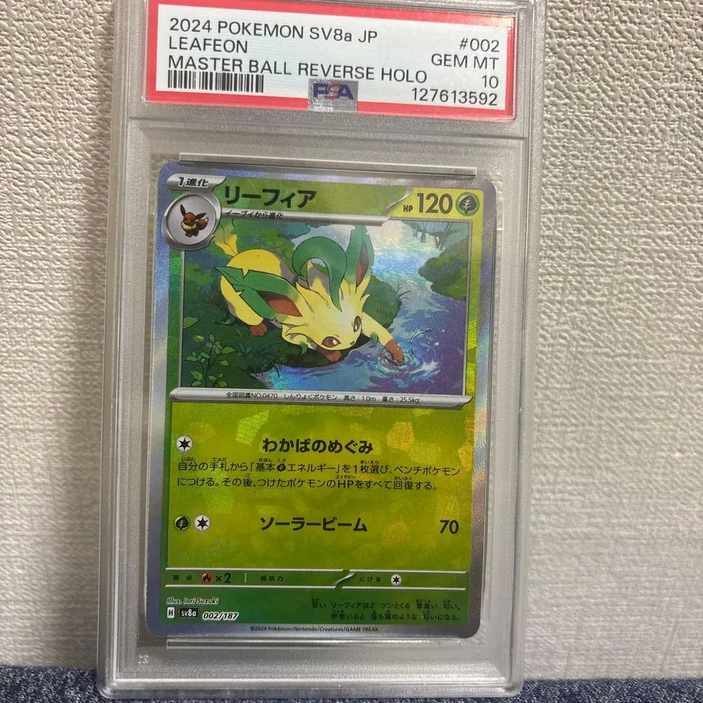リーフィア スカーレット&バイオレット ハイクラスパック テラスタルフェスex…