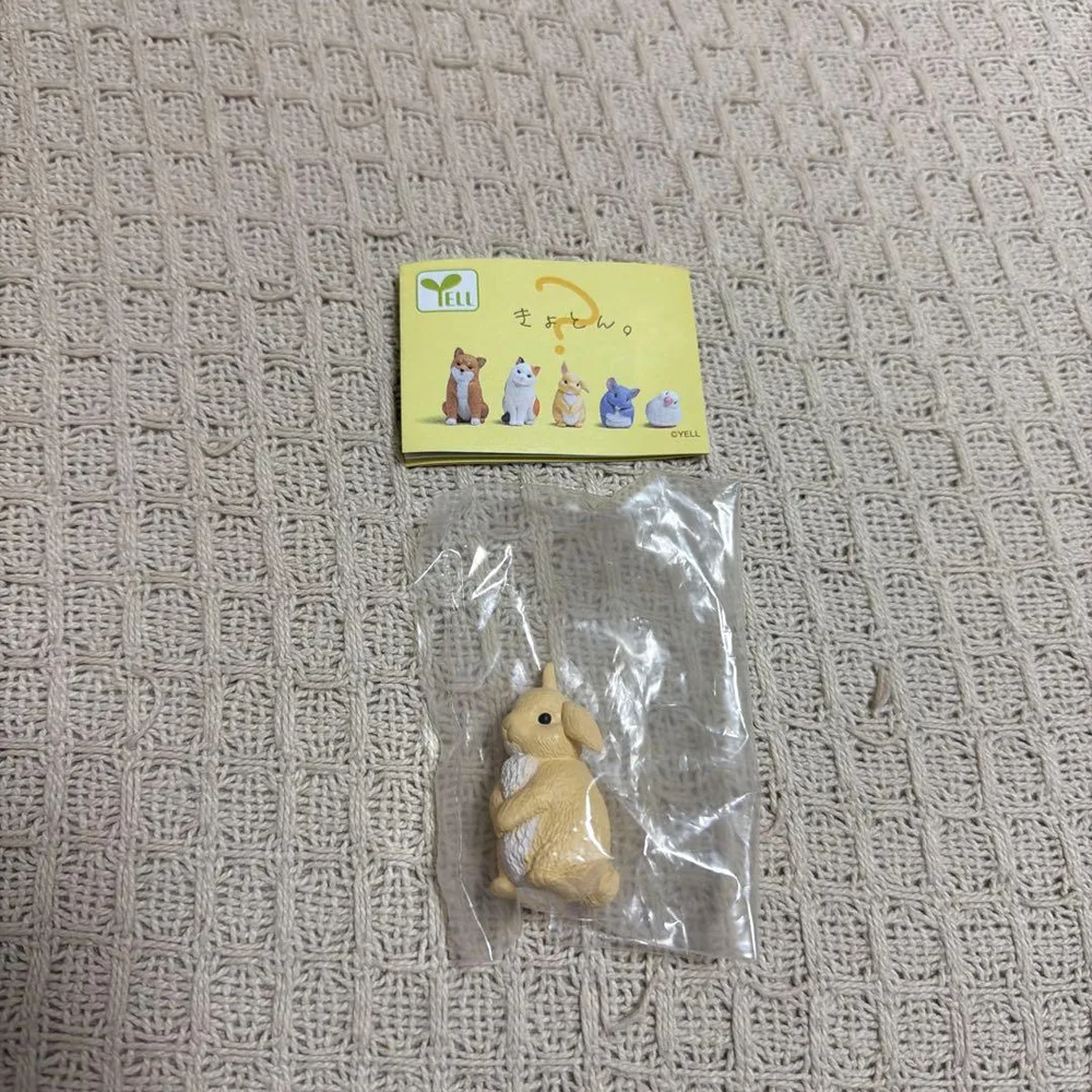 きょとん。 ガチャガチャ うさぎ