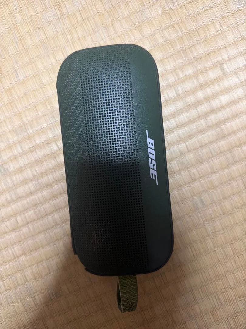 BOSE Bose SoundLink Flex Portable