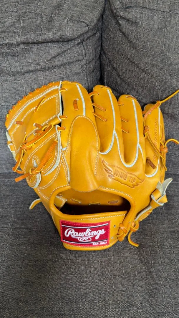 Rawlings PRO PREFERRED 硬式グローブ