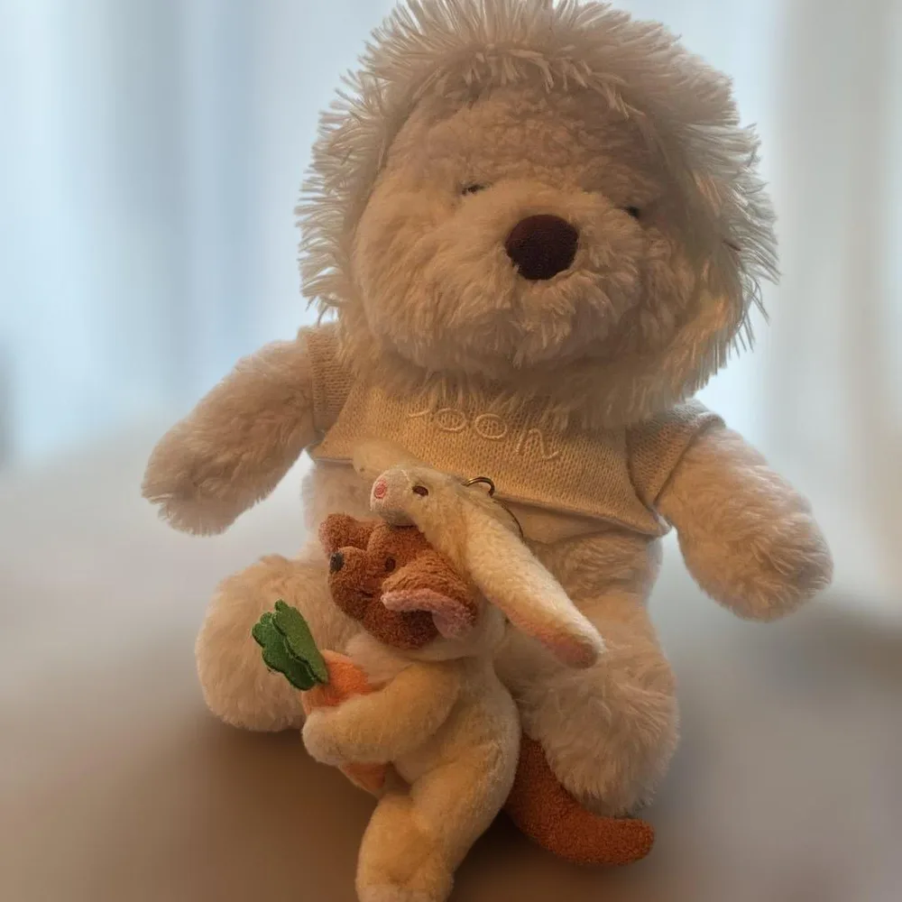 ディズニーストア プーさん ぬいぐるみ 2点セット うさぎの着ぐるみ