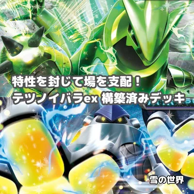 【ポケカ】 No.265 テツノイバラex テツノカイナex 構築済みデッキ