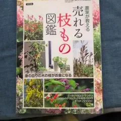 農家が教える売れる枝もの図鑑 2023年12月号