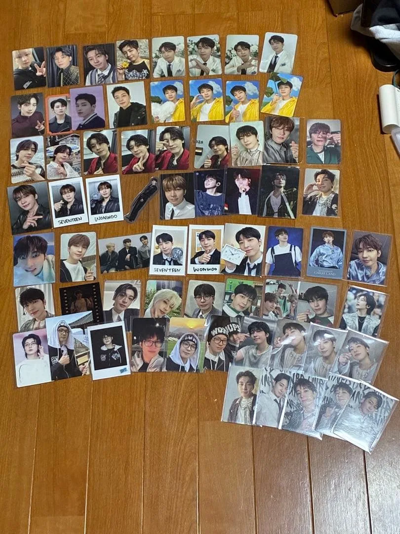 SEVENTEEN ウォヌ セルカ まとめ売り