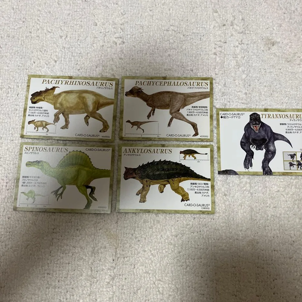 CARD-O-SAURUS 恐竜カード 5枚セット