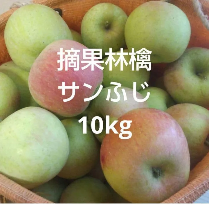 摘果林檎 サンふじ 中~大粒 10kg 送料込み