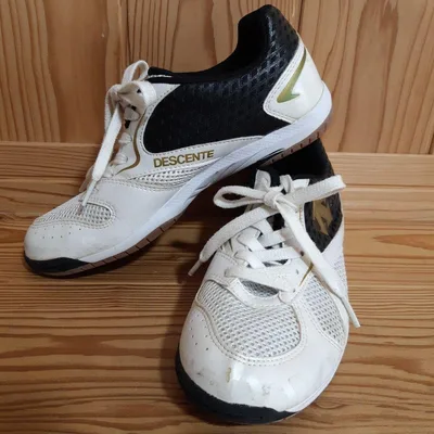 DESCENTE バレーボールシューズ ホワイト ブラック