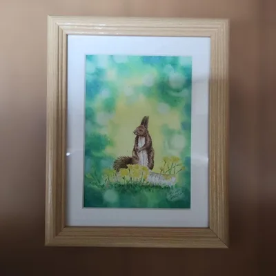 リスの水彩画 2L ☆額付き(外箱付き)